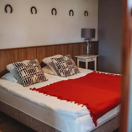 Pokoje Do Wynajecia * 耶莱尼亚古拉