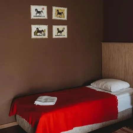 Pokoje Do Wynajecia 耶莱尼亚古拉