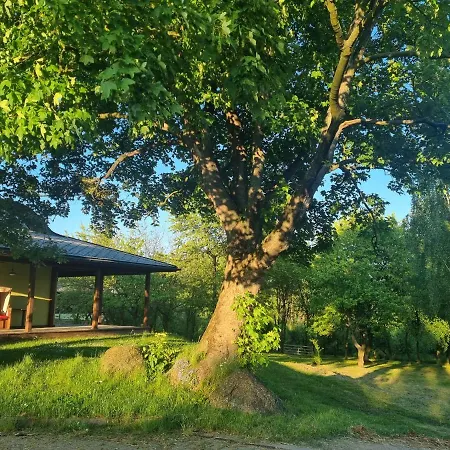 Pokoje Do Wynajecia 耶莱尼亚古拉